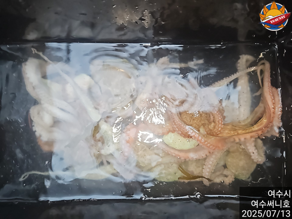 4bcfbdff7abbdd03279f291414ede19e.jpg