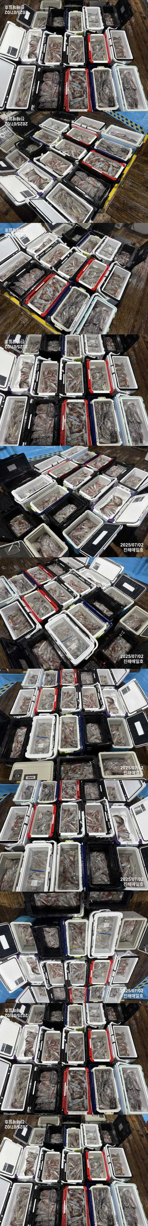 왕한치4.jpg