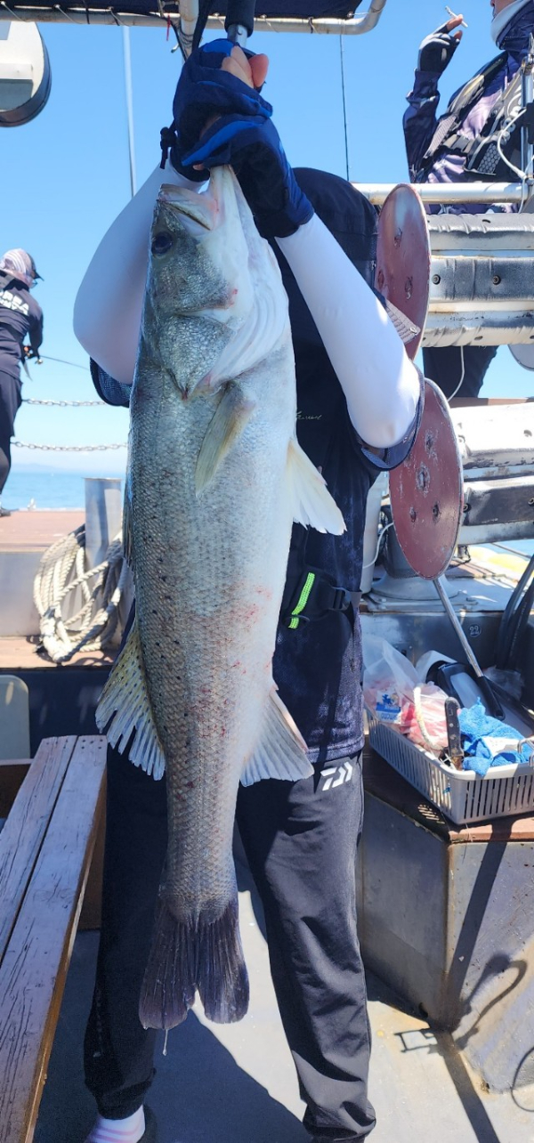 예지퀸호 농어외수질&어초낚시 경기인천권_사진_20250727_4.jpg