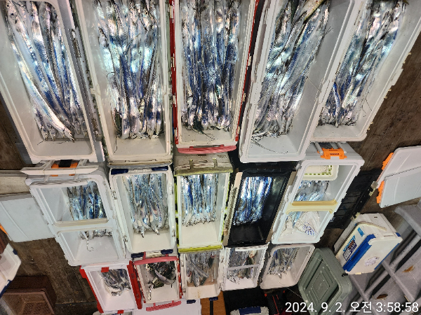 1000025625.jpg