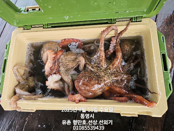 4fe8ec3715684b8ced9c1198dbd4be61.jpg