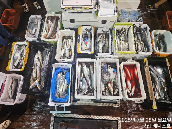KakaoTalk_20250728_032511953.jpg