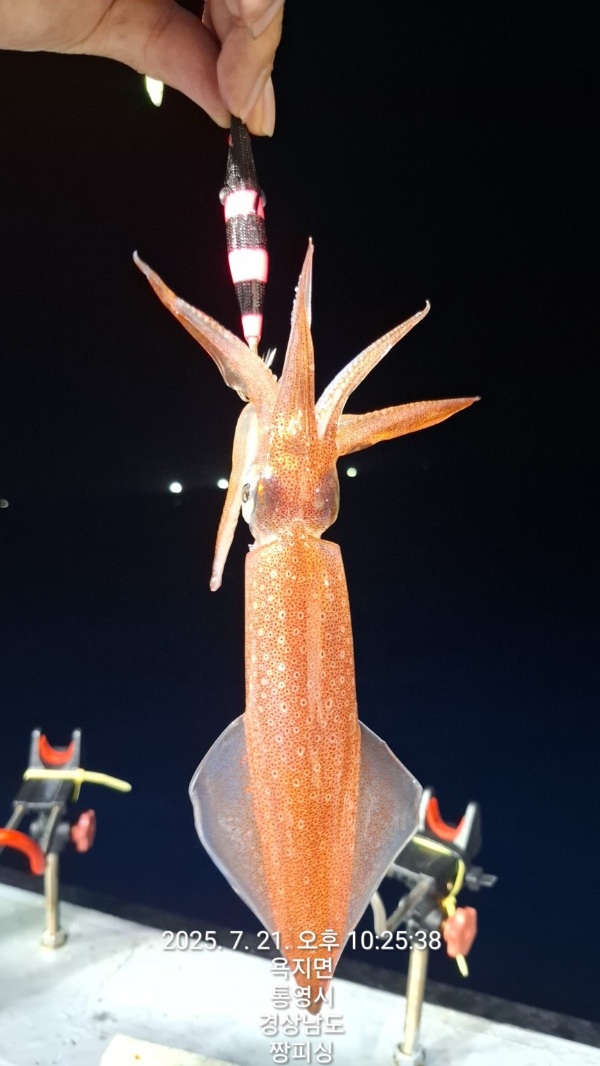 1000054198.jpg