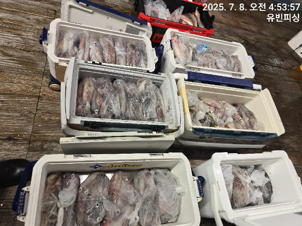 KakaoTalk_20250708_051219639_02.jpg