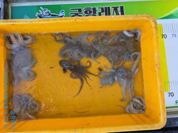 궁항레저_사진_20250729_6.jpg