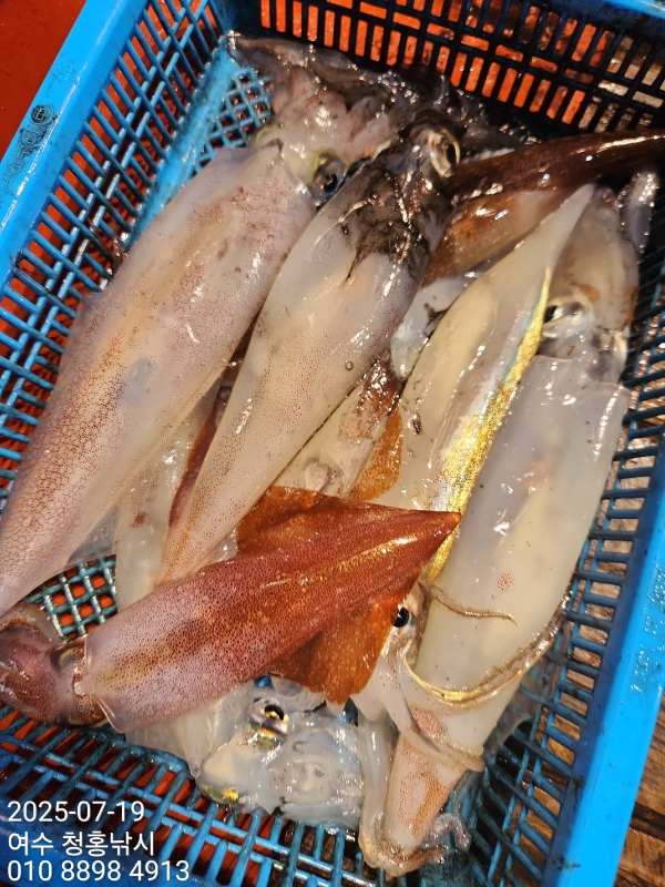 KakaoTalk_20250720_131239652_06.jpg