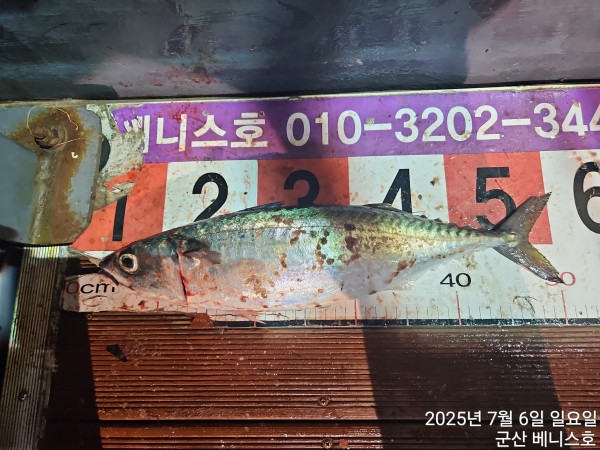 KakaoTalk_20250706_055704749.jpg