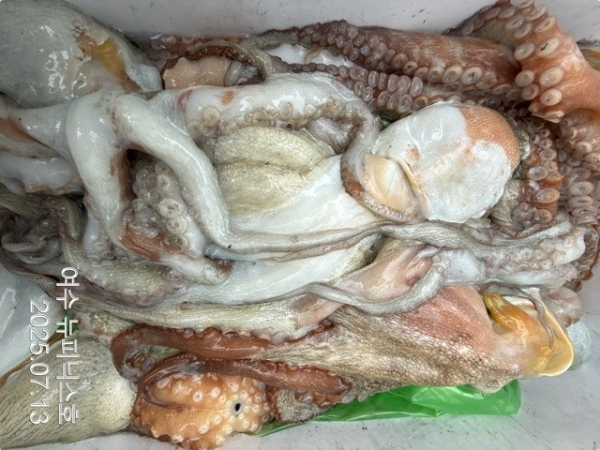 7월13일문어 (72)-tile.jpg