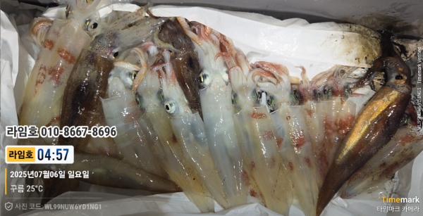 2025-07-06 04.57.40__(제목-라임호)_(라임호 010-8667-8696).jpg