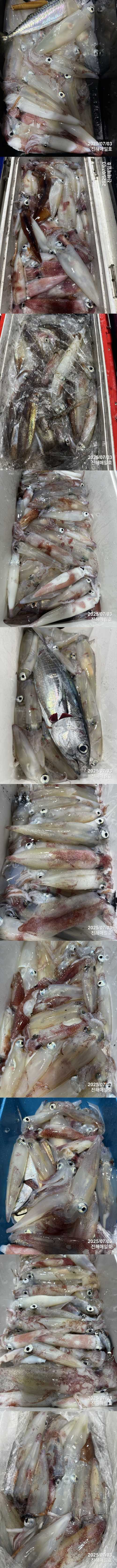 왕한치2.jpg