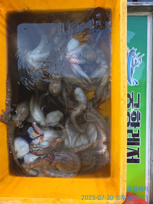 궁항레저_사진_20250731_1.jpg
