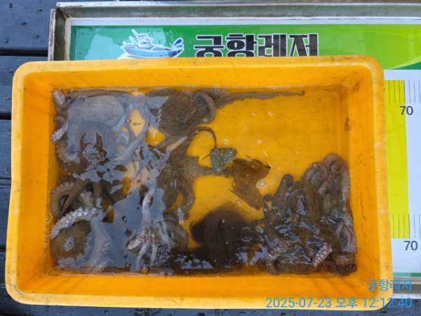 궁항레저_사진_20250723_4.jpg