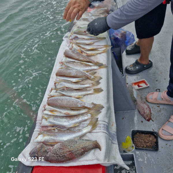 인천바다낚시 (16).jpg