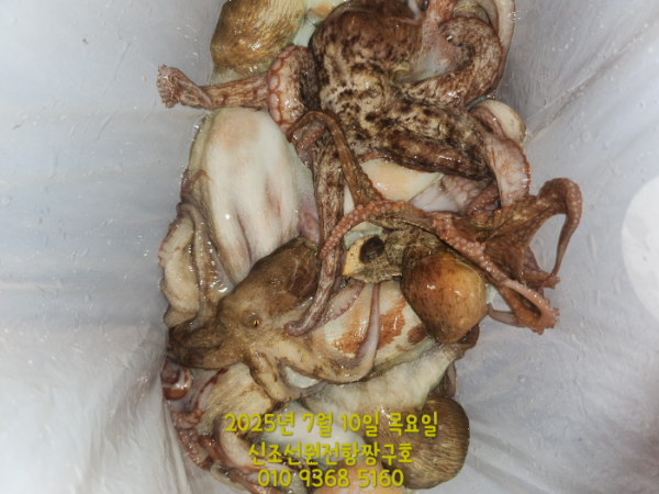 KakaoTalk_20250710_015350428.jpg