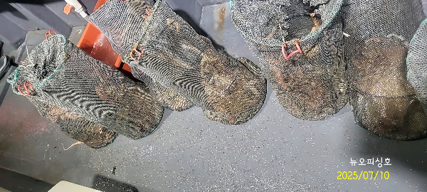 DateCamera0710001102.jpg