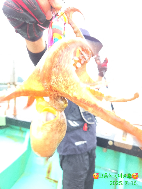 592578fe2609c34f9caae597027f5fd7.jpg