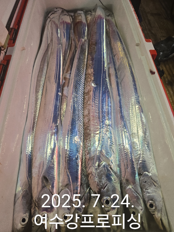 5bd00b867d95d1893eabc2e89535663f.jpg
