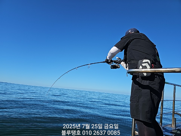 20250725_161134.jpg