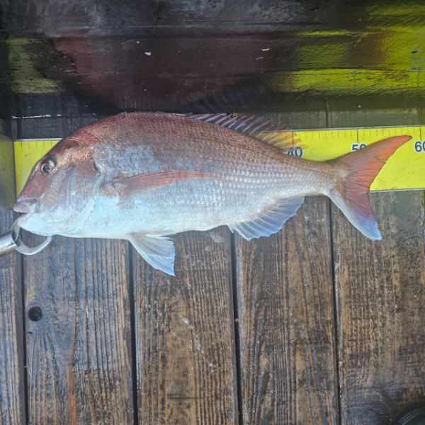 마검포 대한호(VIP)_사진_20250727_2.jpg