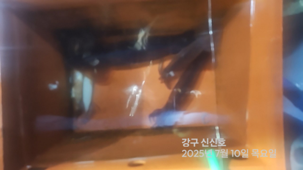 신신낚시 강구점 신신호_사진_20250710_9.jpg