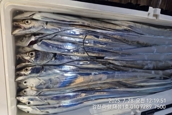60ef344e84203874dc1695b1cb3d54f5.jpg