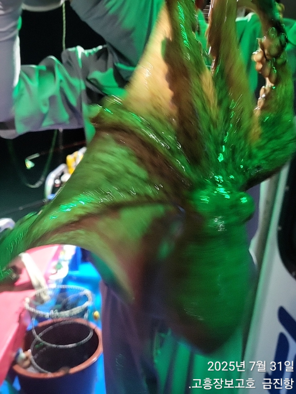 1000028023.jpg