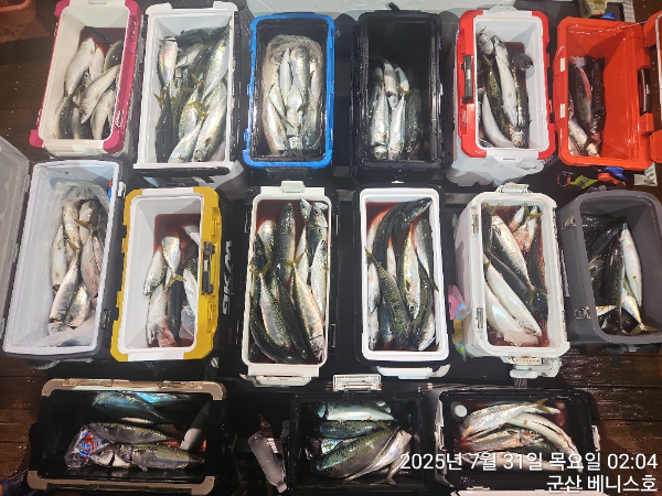KakaoTalk_20250731_034242058.jpg