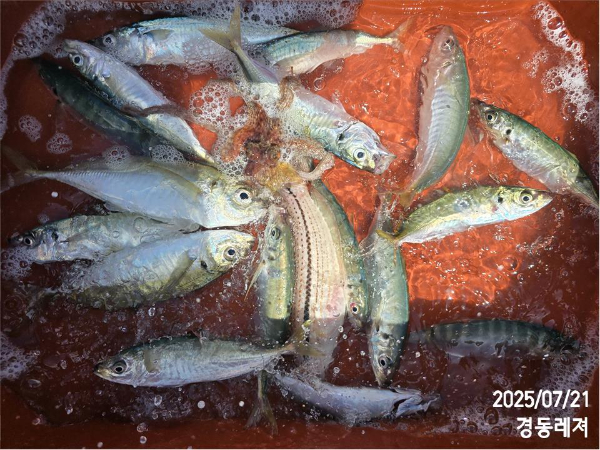 슬라이드0005.jpg