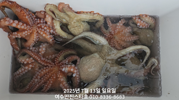 658090dd81dc2aa25337e233cdc0418a.jpg