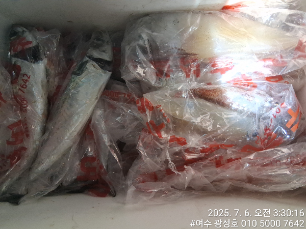 KakaoTalk_20250706_112615269_12.jpg