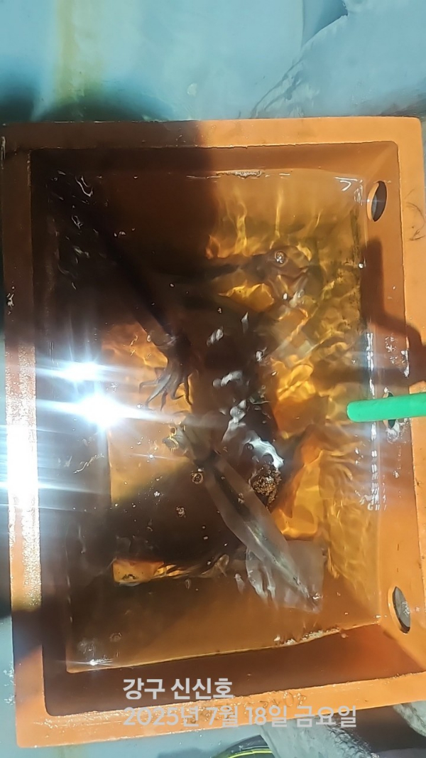 신신낚시 강구점 신신호_사진_20250718_12.jpg