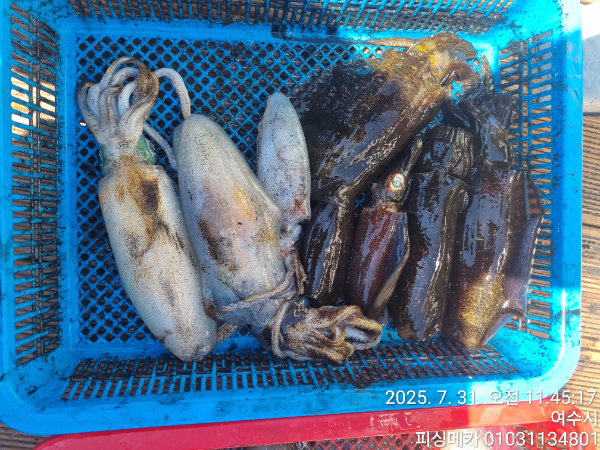 66f809c74612ef6c7f0cdca98f525507.jpg