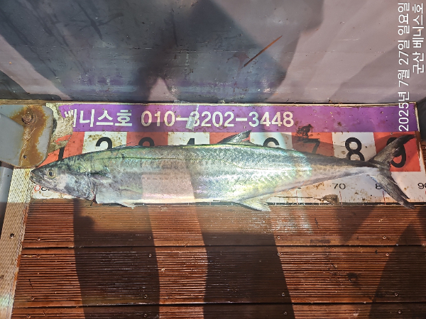 KakaoTalk_20250728_032502573.jpg