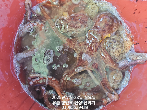 677eeae0f5a0036b0b0aa56925d073db.jpg
