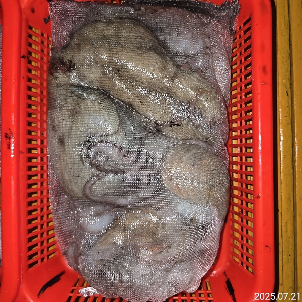 성진피싱 (진해 수도)_사진_20250721_7.jpg