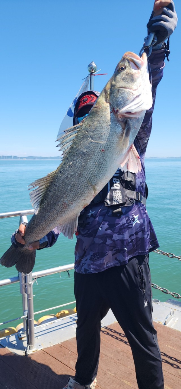 예지퀸호 농어외수질&어초낚시 경기인천권_사진_20250727_1.jpg