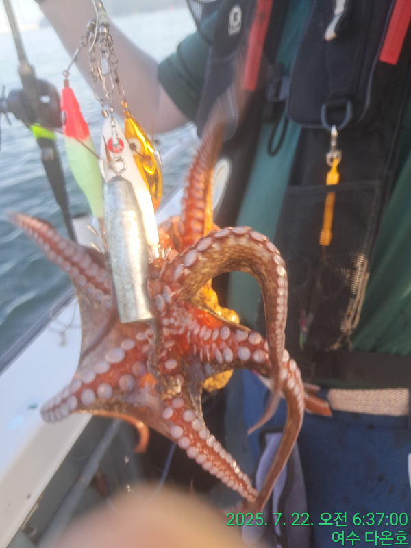 69f187811322ab01669675d829f75862.jpeg
