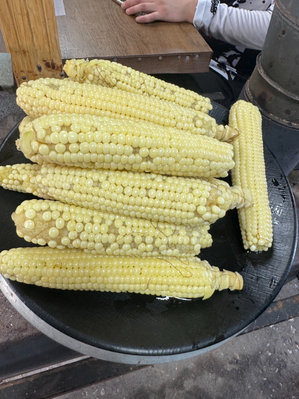 1753500371519.jpg