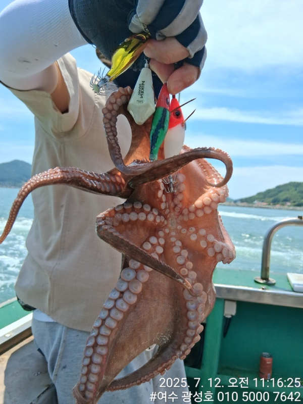 여수광성호(갈치,문어,쭈꾸미,갑오징어,한치,생활낚시)_사진_20250712_9.jpg