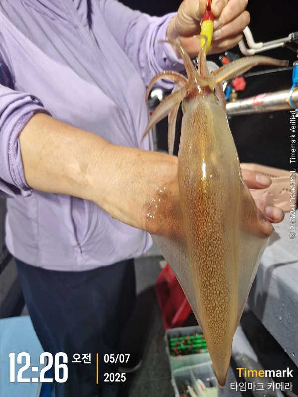 2025-07-05 12.26.05_.jpg