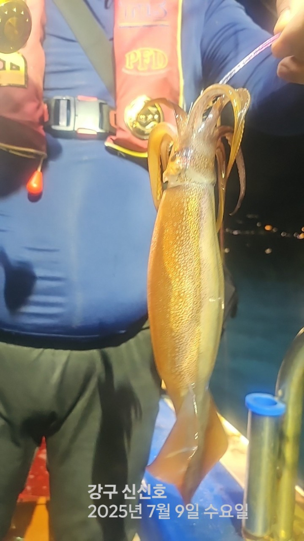 신신낚시 강구점 신신호_사진_20250710_2.jpg
