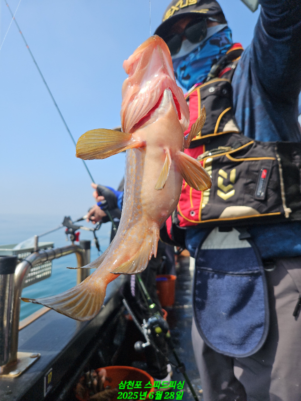 KakaoTalk_20250703_091606706_19.jpg