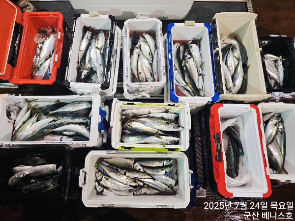 KakaoTalk_20250724_034937688_02.jpg