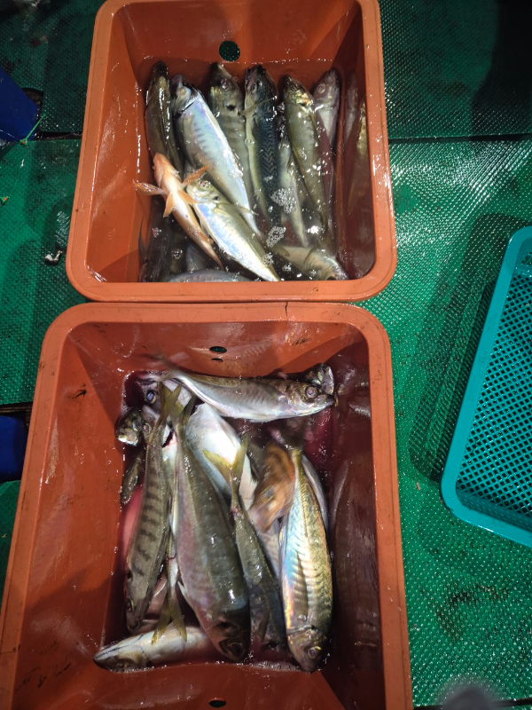 KakaoTalk_20250724_051158283_09.jpg