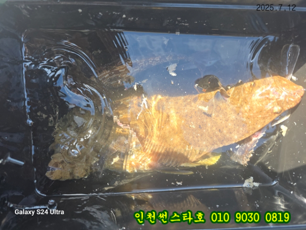 7월12 썬 (33).jpg