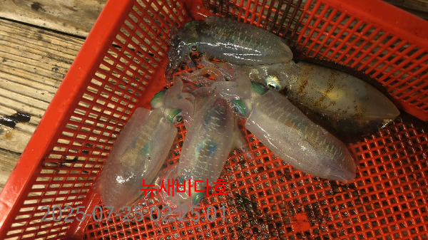 6e436e13bc683fa3e7a8b93c1489f105.jpg