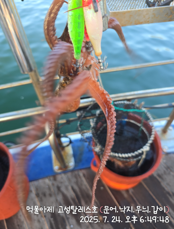 IMG_20250724_184948.jpg