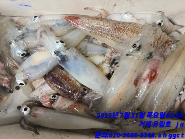 6faa190d4ae12d34b61b76ec8cd5e399.jpg