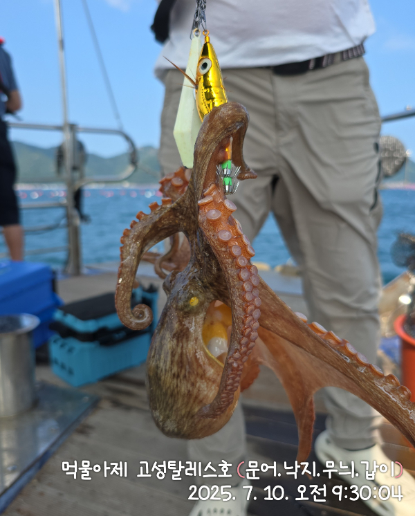 IMG_20250710_093004.jpg