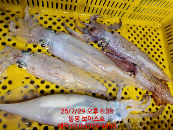 71137ada1374a9bea34a6ef4a8114c71.jpg